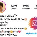 Instagram VIP Bio Stylish Font